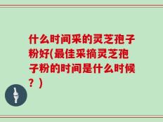 什么时间采的灵芝孢子粉好(最佳采摘灵芝孢子粉的时间是什么时候？)