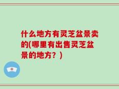什么地方有灵芝盆景卖的(哪里有出售灵芝盆景的地方？)