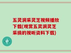 五灵洞采灵芝视频播放下载(观赏五灵洞灵芝采摘的视听资料下载)