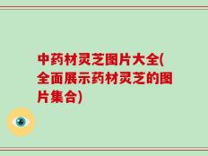 中药材灵芝图片大全(全面展示药材灵芝的图片集合)