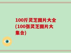100斤灵芝图片大全(100张灵芝图片大集合)