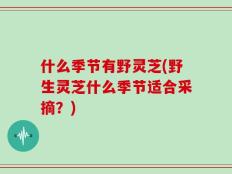 什么季节有野灵芝(野生灵芝什么季节适合采摘？)