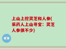 上山上挖灵芝和人参(采药人上山寻宝：灵芝人参俱不少)