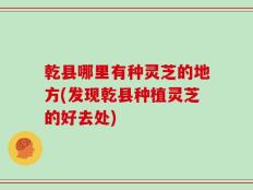 乾县哪里有种灵芝的地方(发现乾县种植灵芝的好去处)