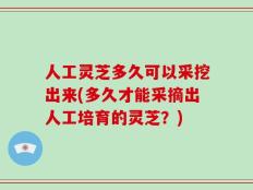人工灵芝多久可以采挖出来(多久才能采摘出人工培育的灵芝？)