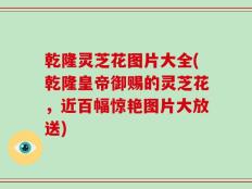 乾隆灵芝花图片大全(乾隆皇帝御赐的灵芝花，近百幅惊艳图片大放送)