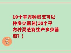 10个平方种灵芝可以种多少菌包(10个平方种灵芝能生产多少菌包？)