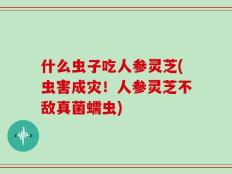 什么虫子吃人参灵芝(虫害成灾！人参灵芝不敌真菌蠕虫)