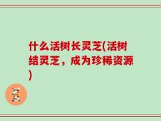什么活树长灵芝(活树结灵芝，成为珍稀资源)