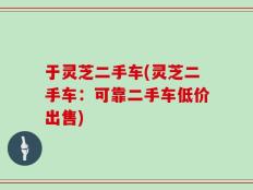于灵芝二手车(灵芝二手车：可靠二手车低价出售)