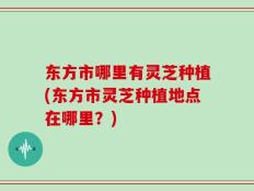 东方市哪里有灵芝种植(东方市灵芝种植地点在哪里？)