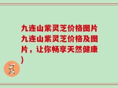 九连山紫灵芝价格图片九连山紫灵芝价格及图片，让你畅享天然健康)