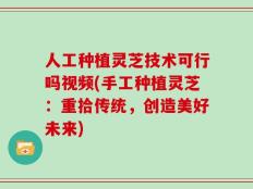 人工种植灵芝技术可行吗视频(手工种植灵芝：重拾传统，创造美好未来)