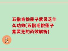 五指毛桃莲子紫灵芝什么功效(五指毛桃莲子紫灵芝的药效解析)