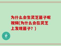 为什么会生灵芝菌子呢视频(为什么会在灵芝上发现菌子？)