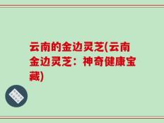 云南的金边灵芝(云南金边灵芝：神奇健康宝藏)