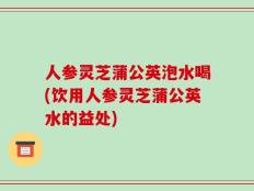 人参灵芝蒲公英泡水喝(饮用人参灵芝蒲公英水的益处)