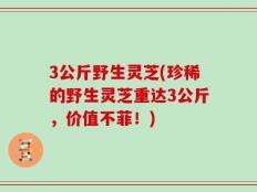 3公斤野生灵芝(珍稀的野生灵芝重达3公斤，价值不菲！)