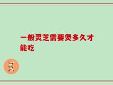 一般灵芝需要煲多久才能吃