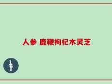 人参 鹿鞭枸杞木灵芝
