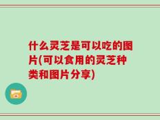什么灵芝是可以吃的图片(可以食用的灵芝种类和图片分享)