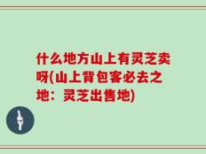 什么地方山上有灵芝卖呀(山上背包客必去之地：灵芝出售地)