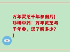 万年灵芝千年参图片(珍稀中药：万年灵芝与千年参，您了解多少？)