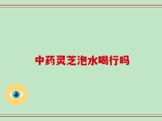 中药灵芝泡水喝行吗