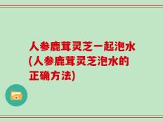 人参鹿茸灵芝一起泡水(人参鹿茸灵芝泡水的正确方法)