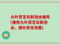 九叶灵芝石斛泡水推荐(推荐九叶灵芝石斛泡水，提升养生效果)