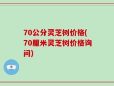 70公分灵芝树价格(70厘米灵芝树价格询问)