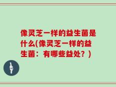 像灵芝一样的益生菌是什么(像灵芝一样的益生菌：有哪些益处？)