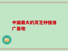 中国最大的灵芝种植推广基地