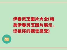 伊春灵芝图片大全(精美伊春灵芝图片展示，惊艳你的视觉感受)