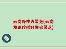 云南野生火灵芝(云南发现珍稀野生火灵芝)