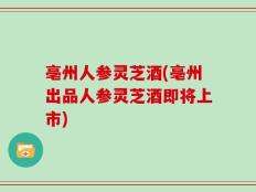 亳州人参灵芝酒(亳州出品人参灵芝酒即将上市)