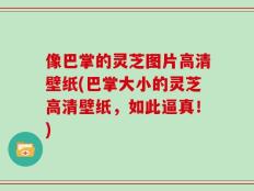 像巴掌的灵芝图片高清壁纸(巴掌大小的灵芝高清壁纸，如此逼真！)