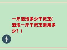 一斤酒泡多少干灵芝(酒泡一斤干灵芝需用多少？)