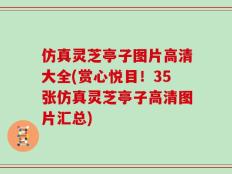 仿真灵芝亭子图片高清大全(赏心悦目！35张仿真灵芝亭子高清图片汇总)
