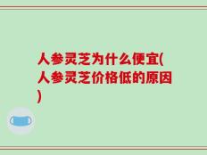 人参灵芝为什么便宜(人参灵芝价格低的原因)