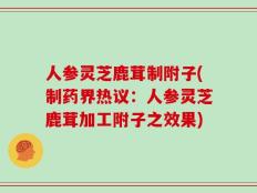 人参灵芝鹿茸制附子(制药界热议：人参灵芝鹿茸加工附子之效果)