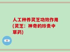人工种养灵芝功效作用(灵芝：神奇的珍贵中草药)