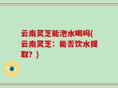 云南灵芝能泡水喝吗(云南灵芝：能否饮水提取？)