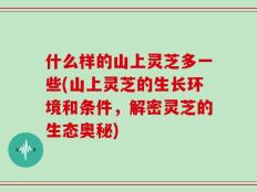什么样的山上灵芝多一些(山上灵芝的生长环境和条件，解密灵芝的生态奥秘)