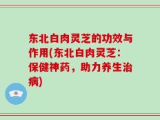 东北白肉灵芝的功效与作用(东北白肉灵芝：保健神药，助力养生治病)