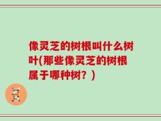 像灵芝的树根叫什么树叶(那些像灵芝的树根属于哪种树？)