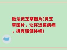做法灵芝草图片(灵芝草图片，让你远离疾病，拥有强健体魄)