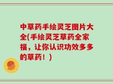 中草药手绘灵芝图片大全(手绘灵芝草药全家福，让你认识功效多多的草药！)