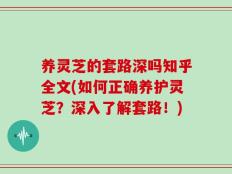 养灵芝的套路深吗知乎全文(如何正确养护灵芝？深入了解套路！)