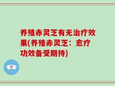 养殖赤灵芝有无治疗效果(养殖赤灵芝：愈疗功效备受期待)